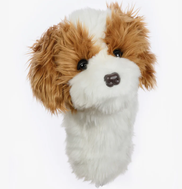 Headcover A Daphne Cavapoo