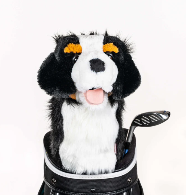 Headcover A Daphne Bernese Mountain Dog