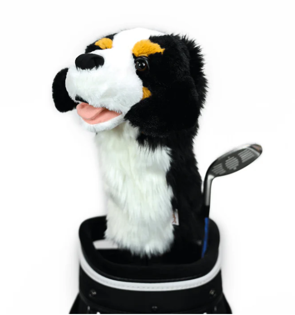 Headcover A Daphne Bernese Mountain Dog