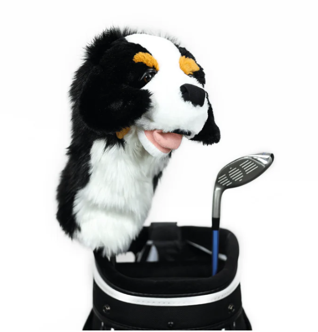 Headcover A Daphne Bernese Mountain Dog