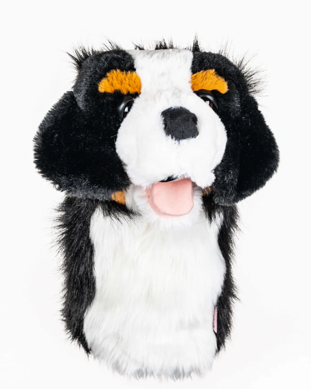 Headcover A Daphne Bernese Mountain Dog