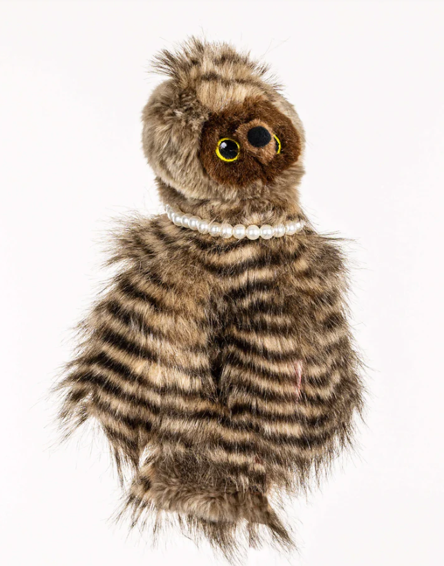 Headcover A Daphne Hybrids  Owl