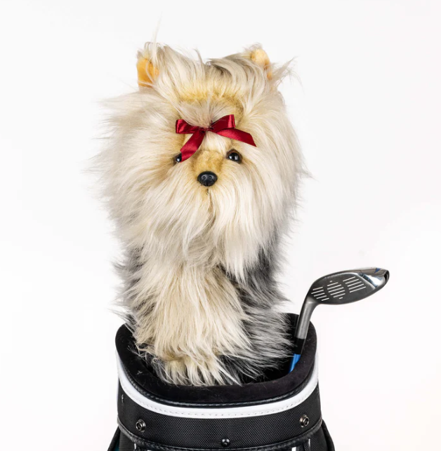Headcover A Daphne Yorkshire Terrier