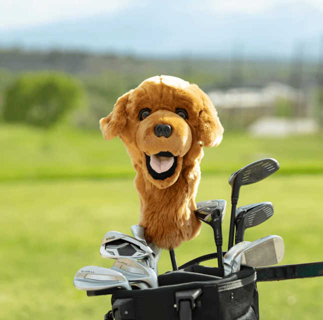 Headcover A Daphne Golden Retriever