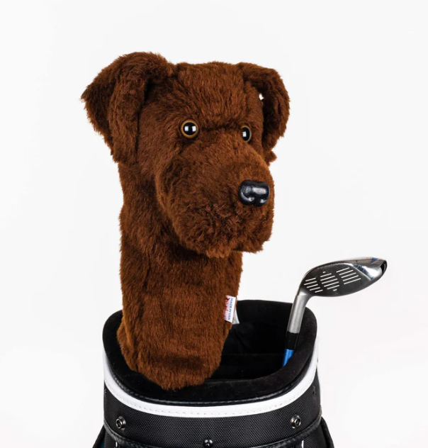 Headcover A Daphne Chocolate Lab