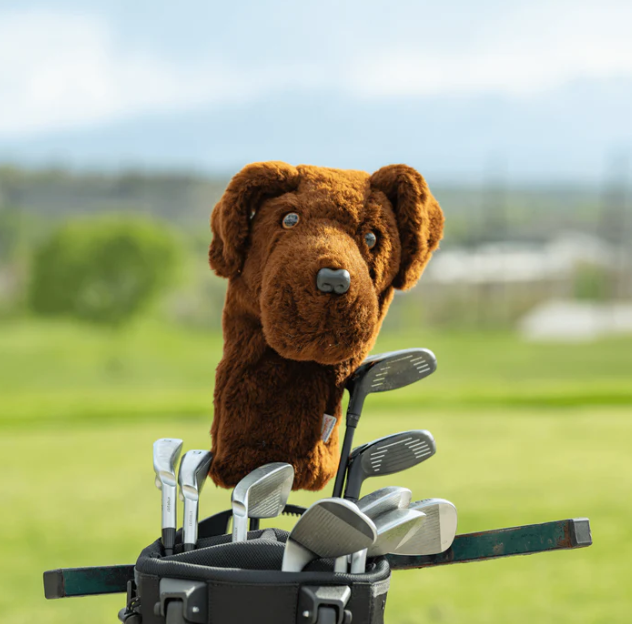 Headcover A Daphne Chocolate Lab