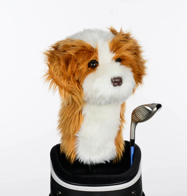Headcover A Daphne Cavapoo