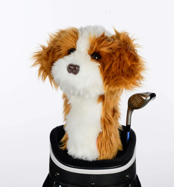 Headcover A Daphne Cavapoo