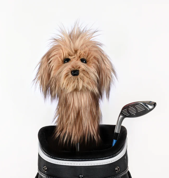 Headcover A Daphne Scruffy Dog