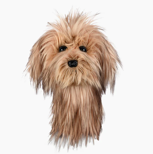 Headcover A Daphne Scruffy Dog